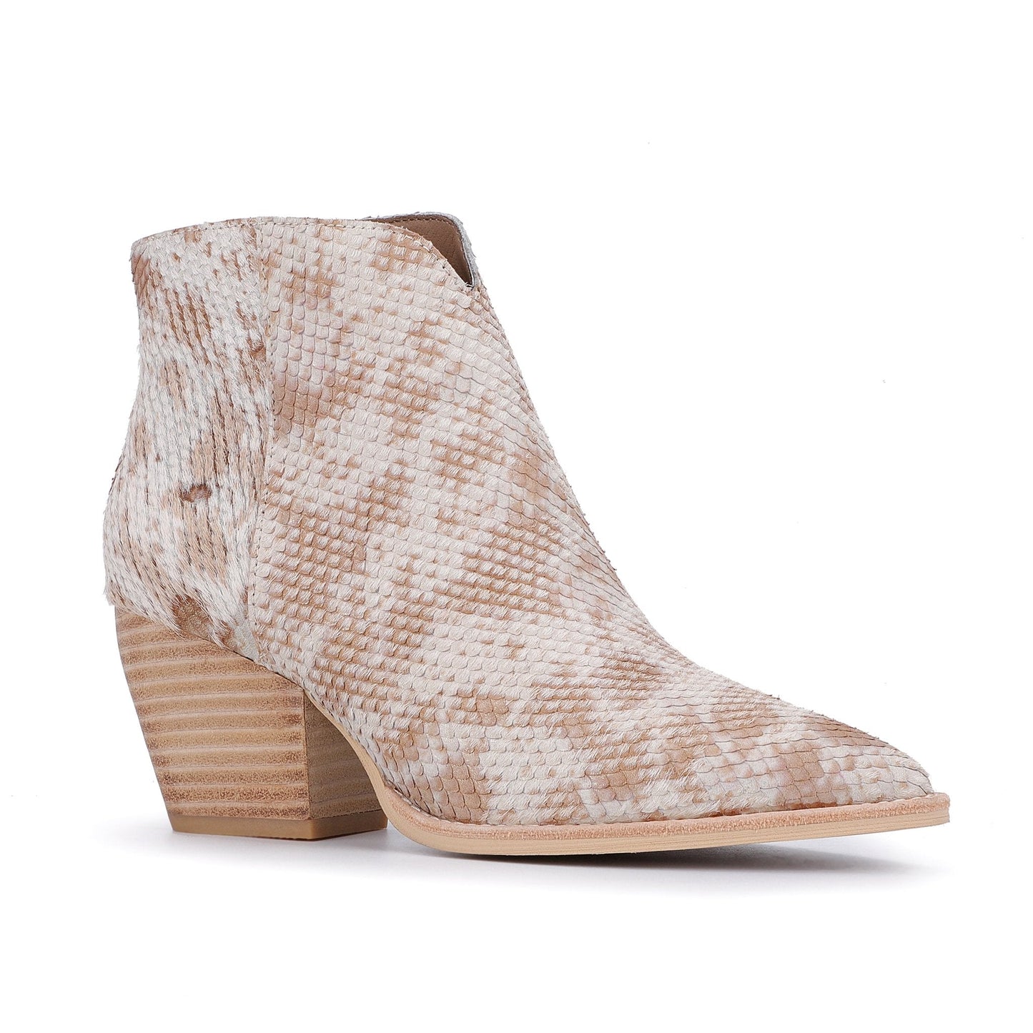 SNAKE MULTI Vintage Havana CASSIDY - SNAKE MULTI
