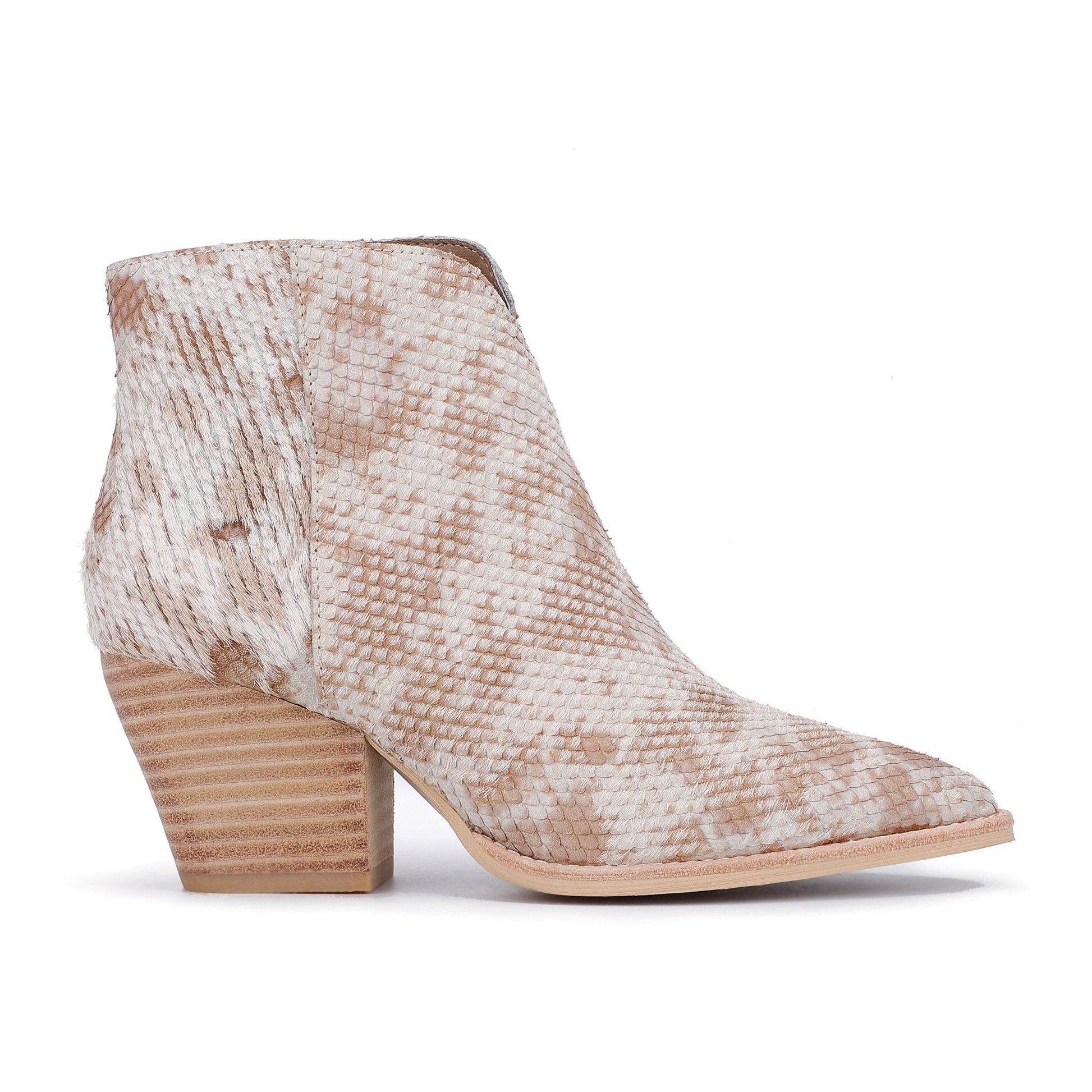 SNAKE MULTI Vintage Havana CASSIDY - SNAKE MULTI