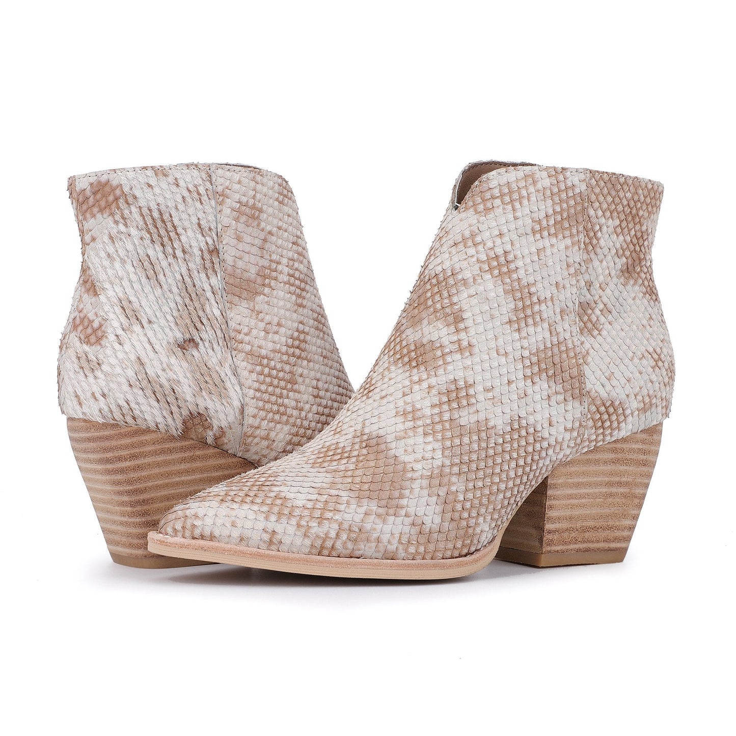 SNAKE MULTI Vintage Havana CASSIDY - SNAKE MULTI